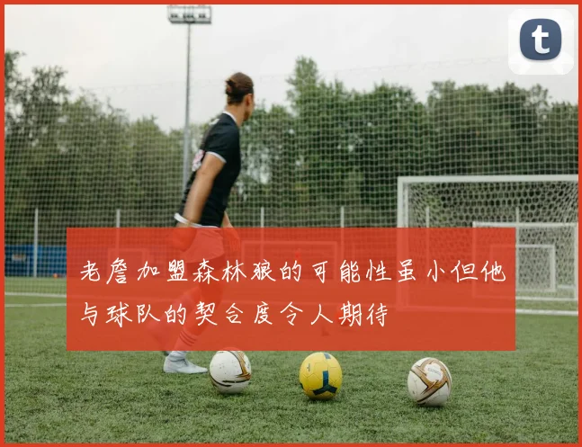 老詹加盟森林狼的可能性虽小但他与球队的契合度令人期待